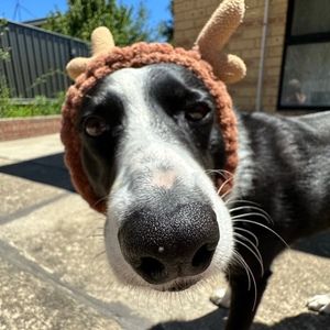 Meet your Posher, Julia